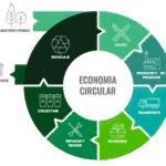 1 freepik circular economy phases70